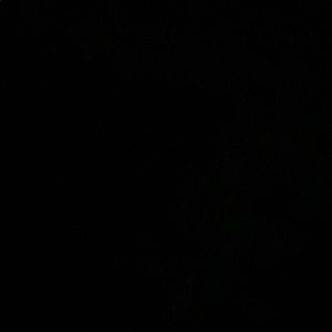 Meet your Posher, Mirella